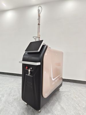 755nm 2700W Cilt Yenilenme Nd Yag Dövme İndirme Lazer Makinesi Dövme İndirme