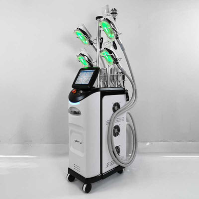 Karın CE Cryolipolysis Makinesi, Cryolipolysis Yağ Dondurma Zayıflama Makinesi
