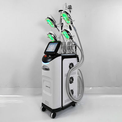 Çift Çene Soğuk Lipoliz Zayıflama Makinesi 110V 220V